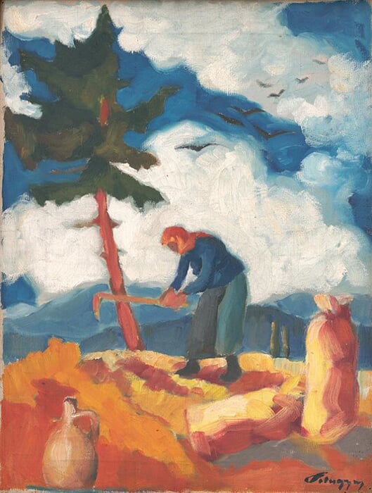 Kopačka zemiakov