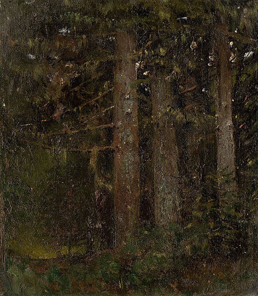 Vnútro lesa II.