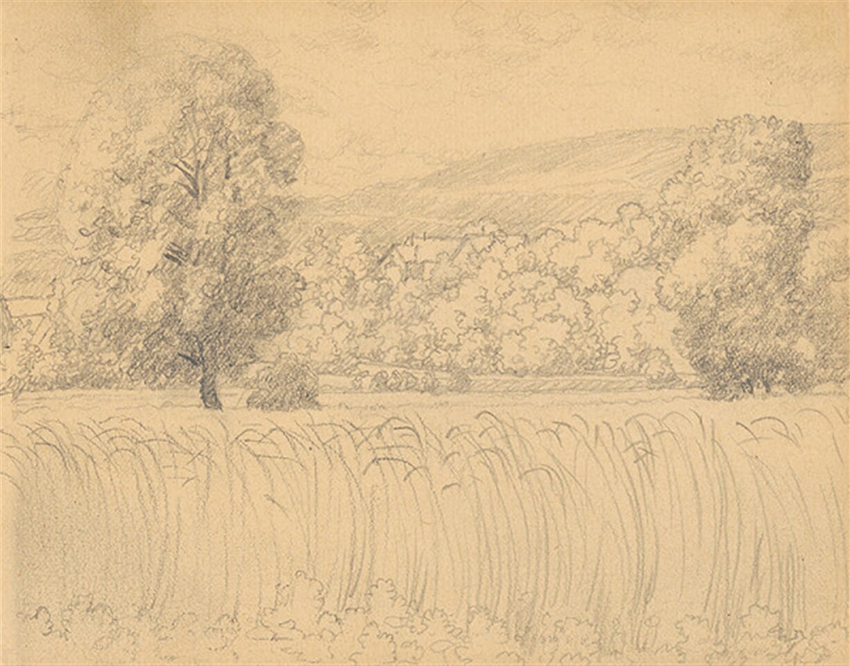 Letná krajina