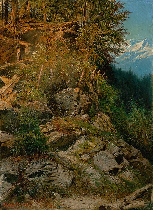 Skalnaté úbočie v horskej krajine