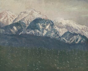 Pohľad na Vysoké Tatry