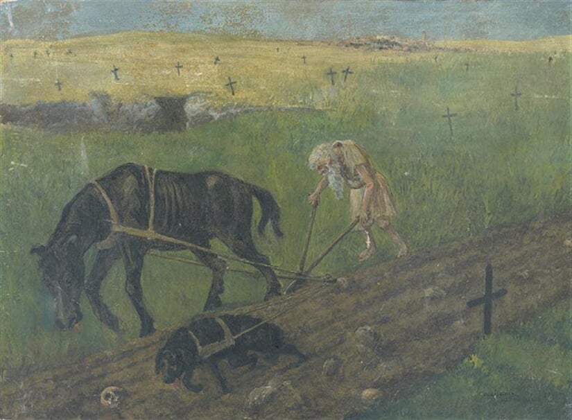 Oráč