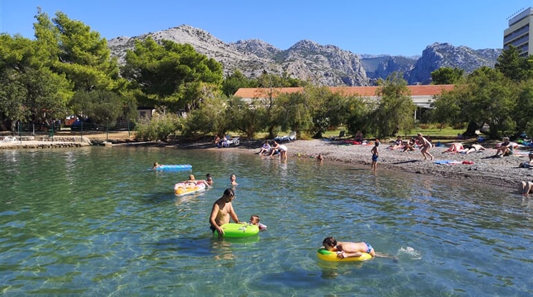 0 IMG_20200821_102650