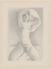 Žena s košeľou VIII.