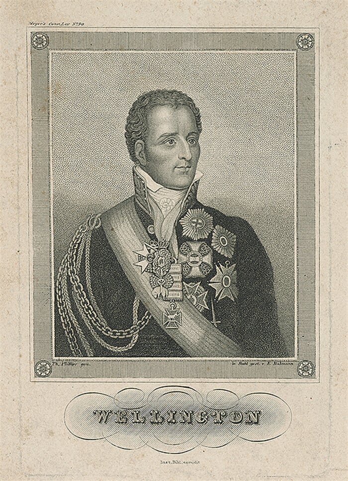 Portrét Wellingtona