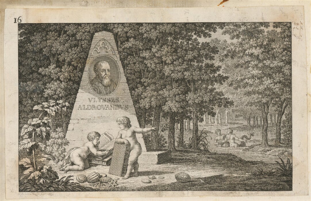 Ulysses Aldrovandus