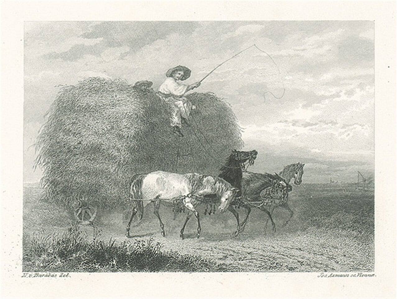 Zvážanie obilia
