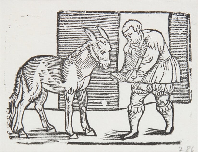 Historie XLIX - Ilustrácia k príhodám Tilla Eulenspiegla