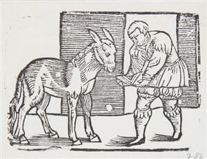 Historie XLIX - Ilustrácia k príhodám Tilla Eulenspiegla
