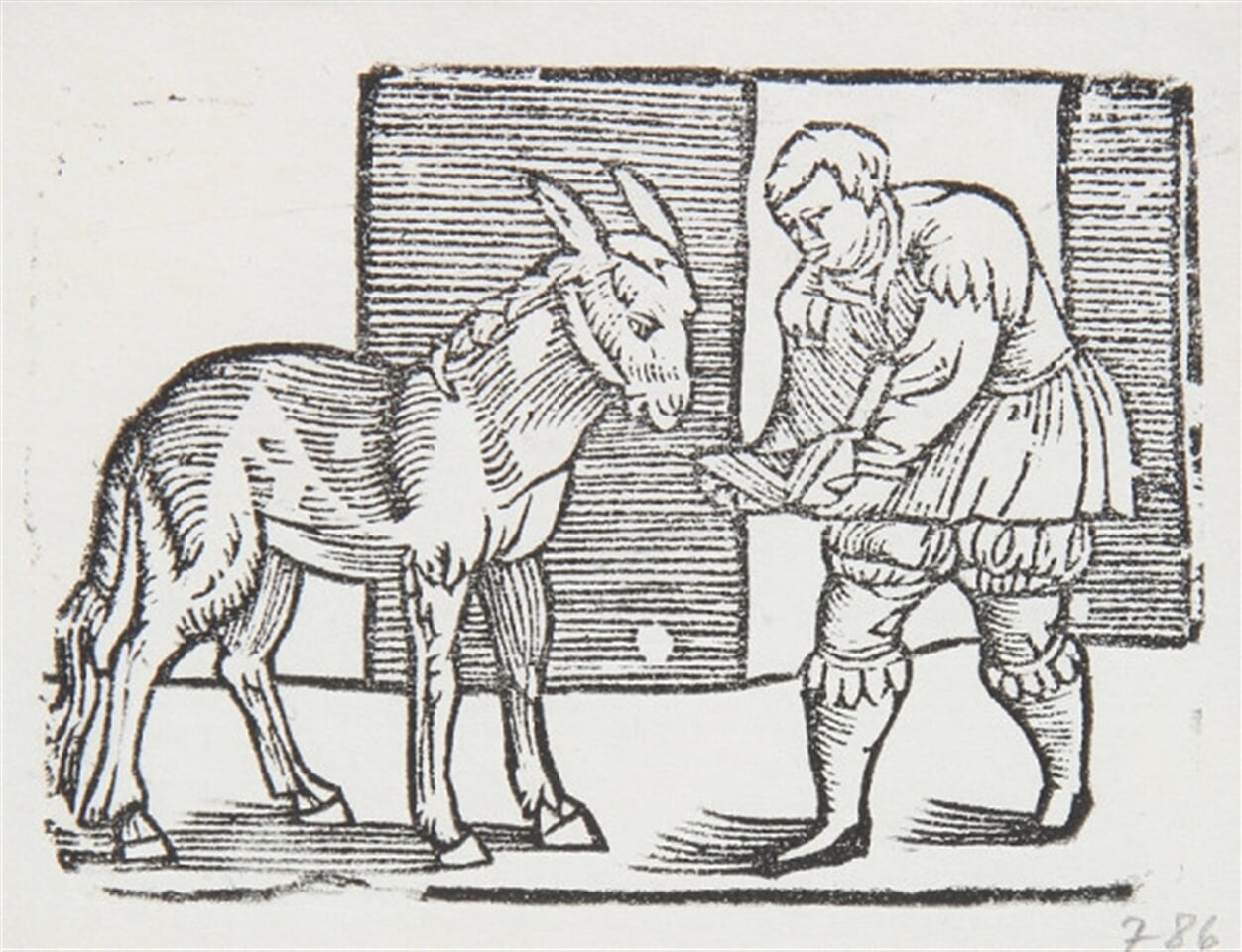 Historie XLIX - Ilustrácia k príhodám Tilla Eulenspiegla