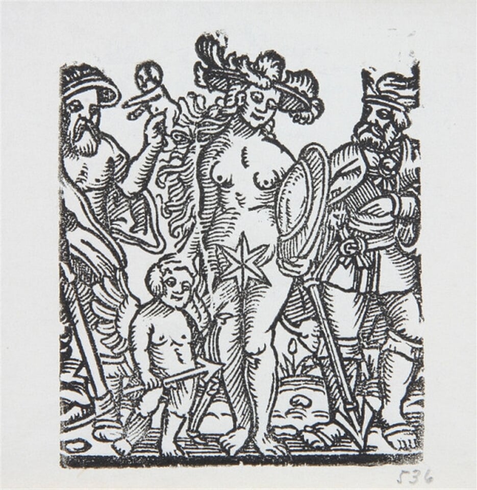 Venuša - Ilustrácia kalendára
