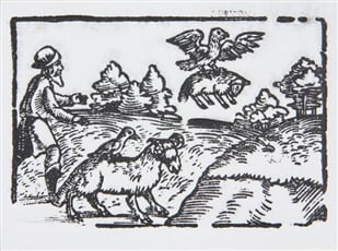 Orol, kavka a pastier - Ilustrácia k Ezopovým bájkam