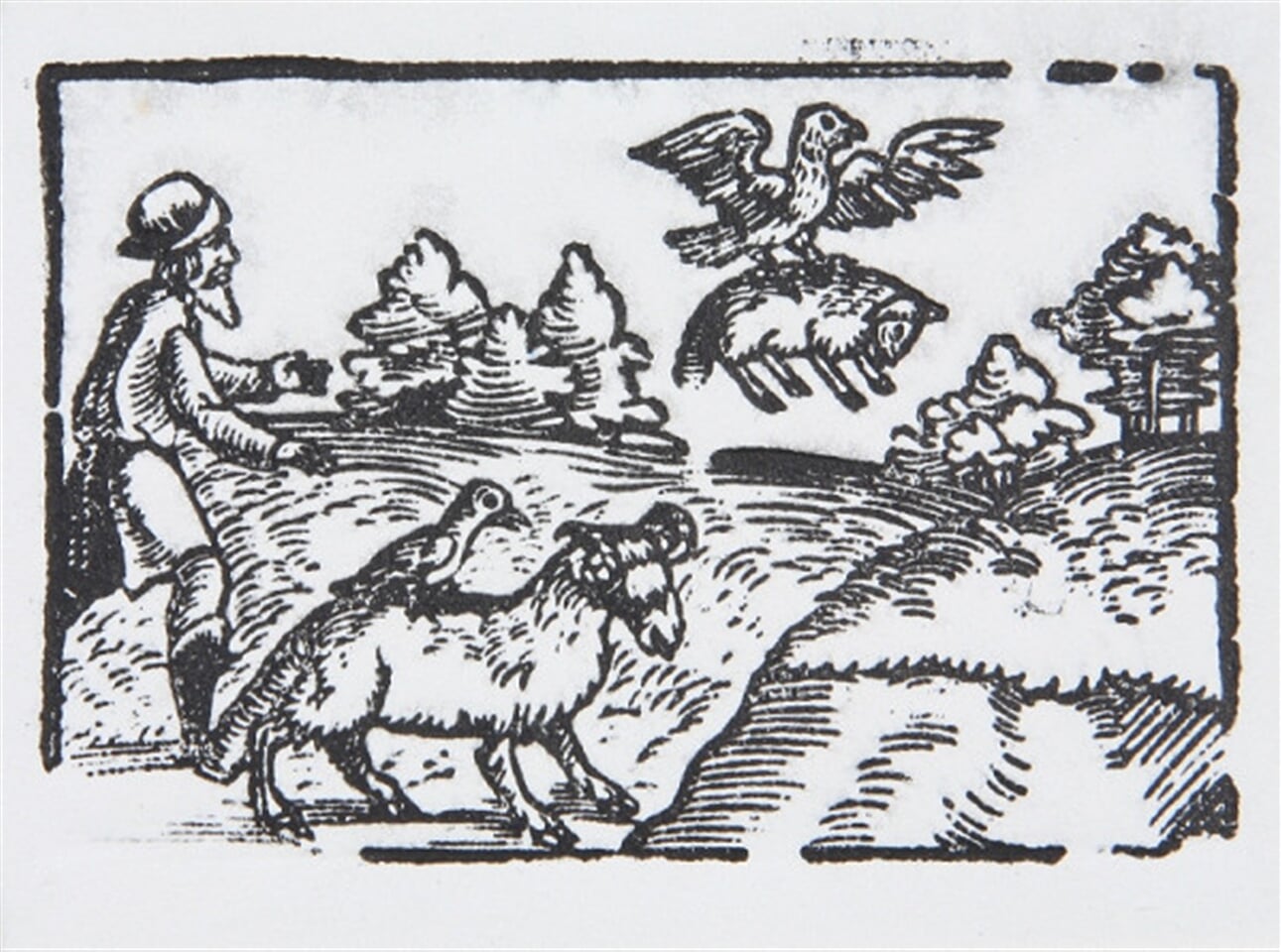 Orol, kavka a pastier - Ilustrácia k Ezopovým bájkam