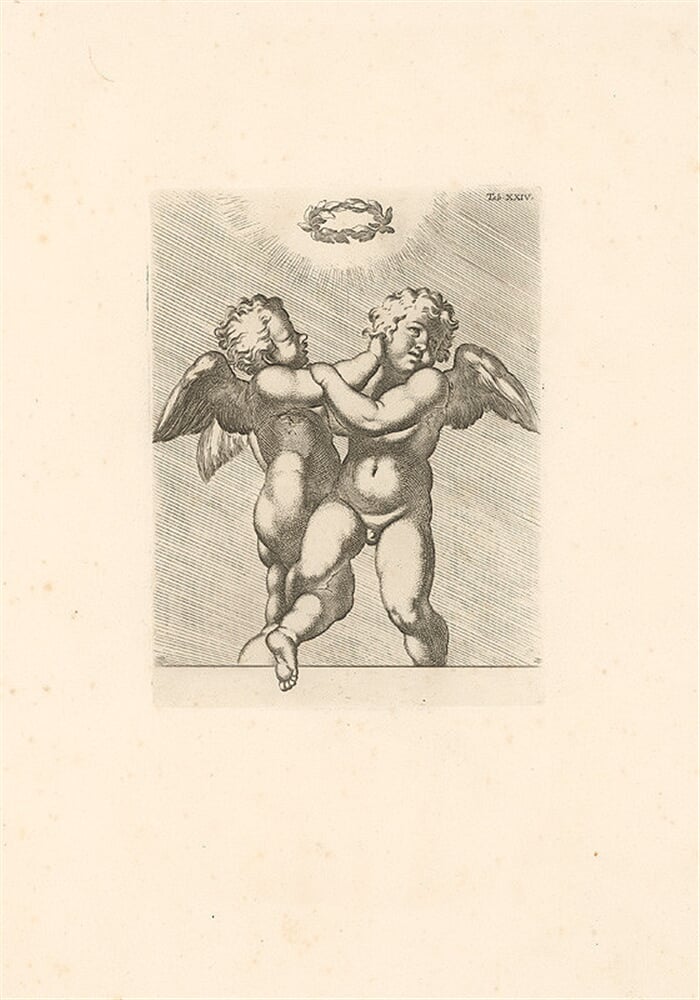 Putti,Tab.XXIV.