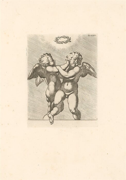 Putti,Tab.XXIV.