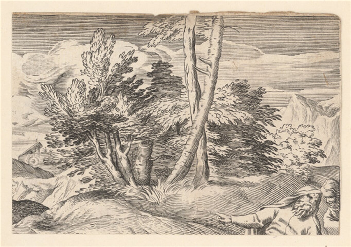 Fragment krajiny