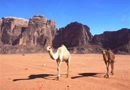 Jordánsko - velmi podrobný okruh