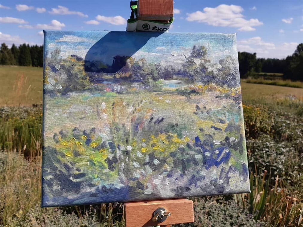 IMG 20200805 204217 520