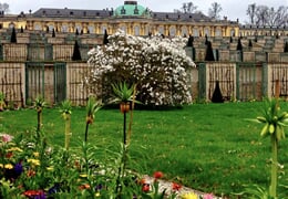 Berlín - Berlín, Postupim a tajemný Harz: hrázděný Quedlinburg a Goslar