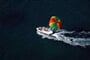 Foto - Hotel Adriatic