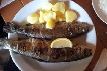 rybie špeciality Č.Hora
