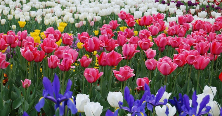 Floriade 2