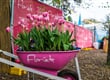 Floriade