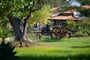 Apartmány Ninea   Capo Vaticano (3)