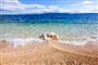 Hotel Beach