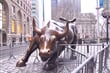 New York - Charching Bull
