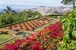 Madeira - Botanická zahrada Funchal