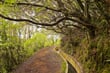Levada Portela - ostrov Madeira