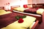 Wellness Hotel Repiská (33)