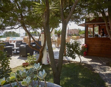 Bar, Cala Gonone, Sardinie