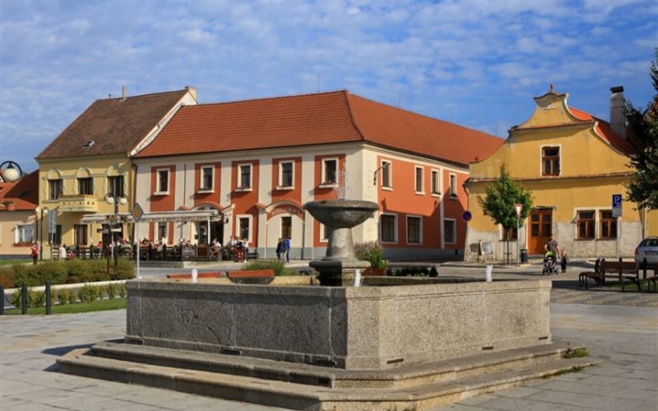 244 h.Panska ext 991