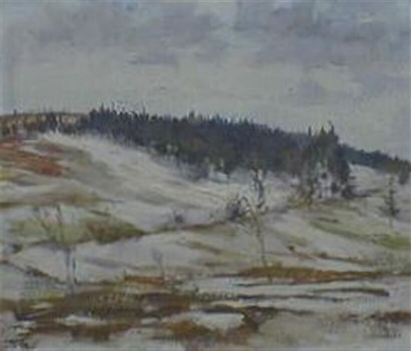 Zimní krajina