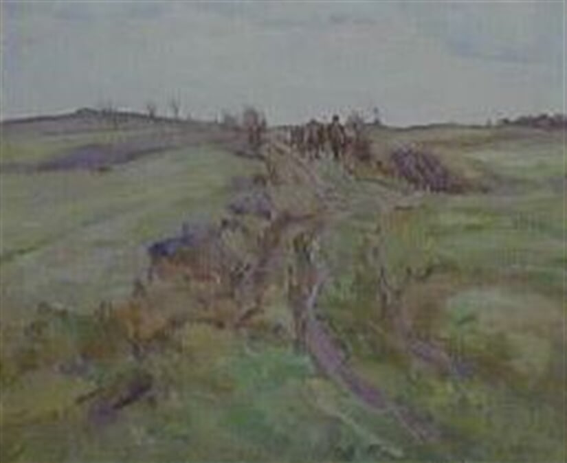 Polní cesta s kravami