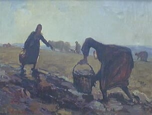 Sázení brambor