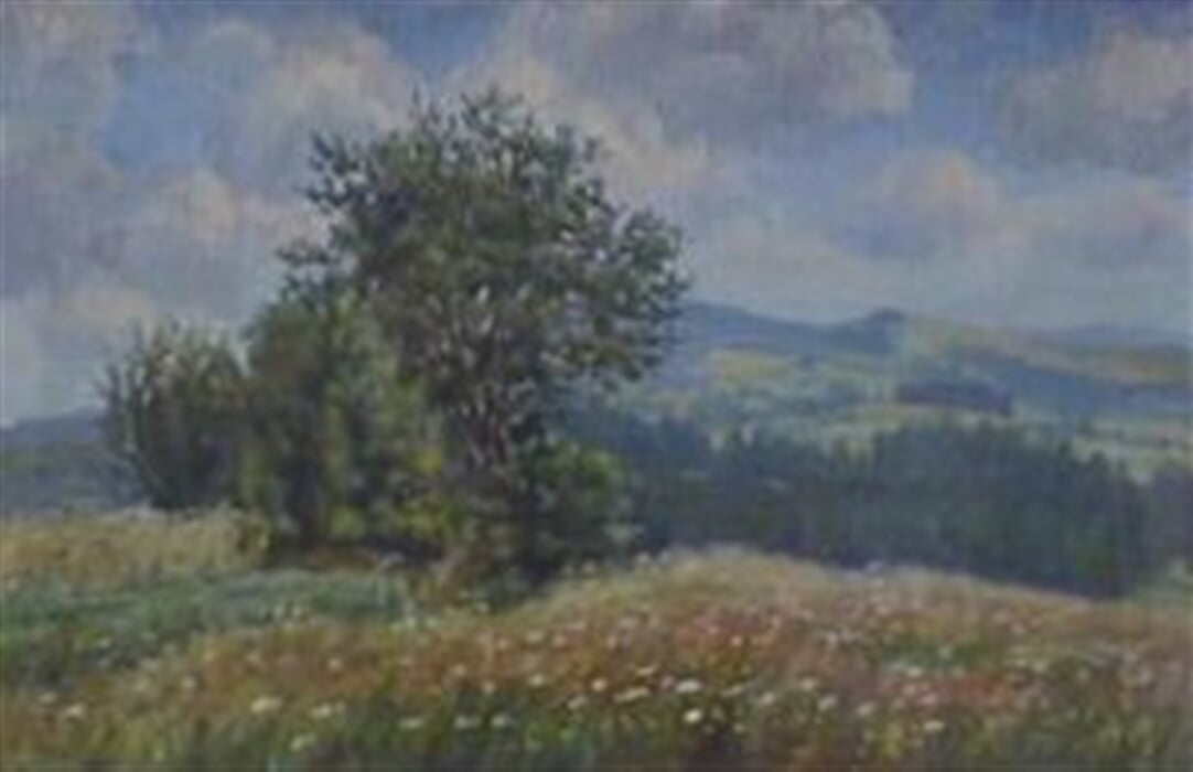Vysočina