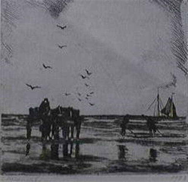 Z Holandska