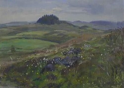 Vysočina v pozdním jaru