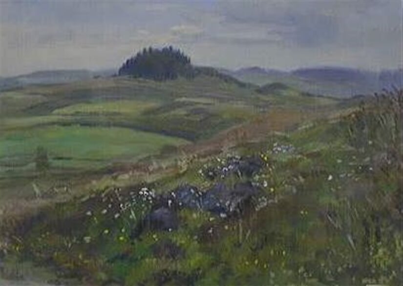 Vysočina v pozdním jaru