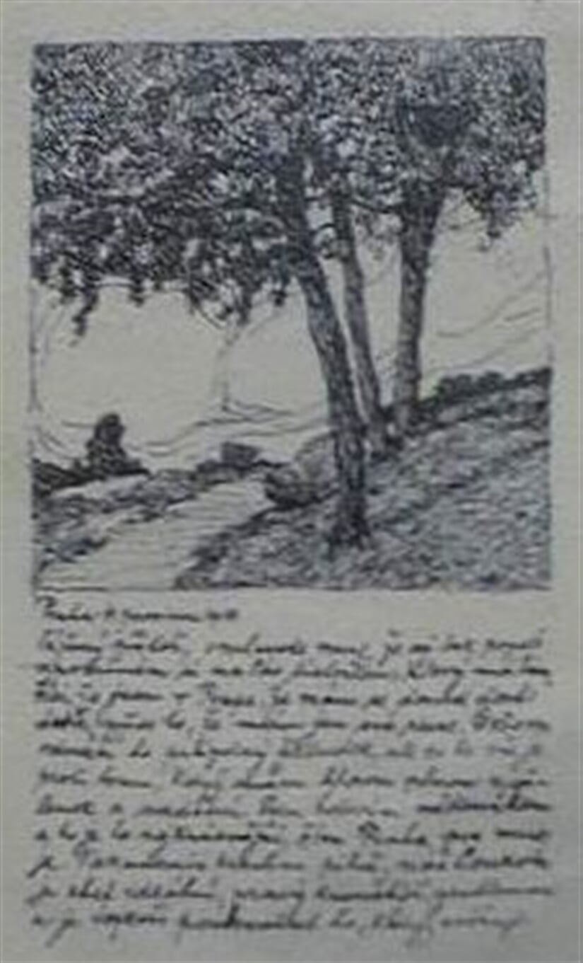 Ilustrace k dopisnici - Stromy u cesty