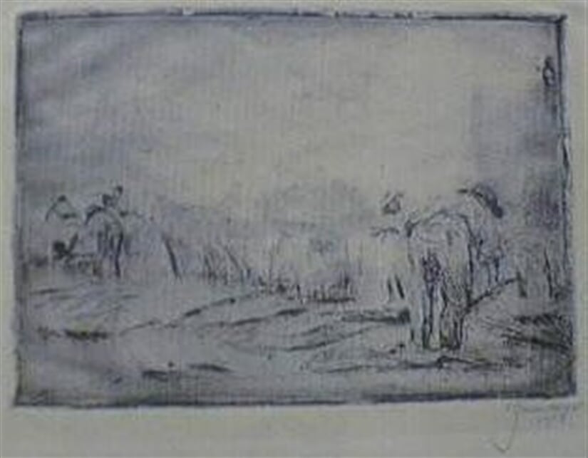 Na poli - vázání snopů