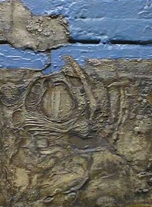 Modrý obzor