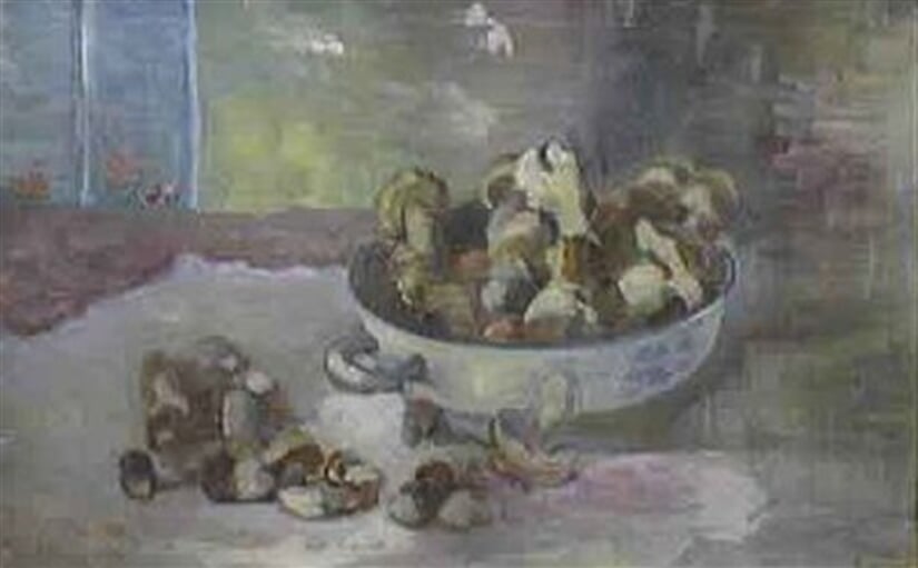 Zátiší s hříbky