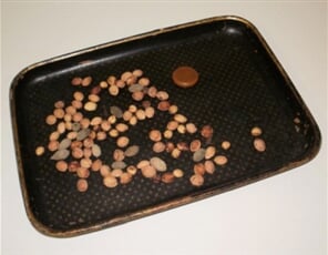 Černý tácek (pecky, bonbon)
