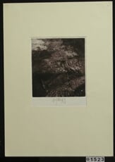 Krajina IV.