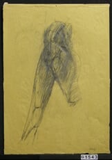 Torzo