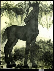 Hříbě